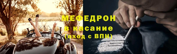 прущие грибы Михайлов
