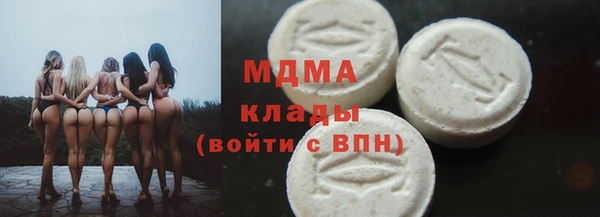 прущие грибы Михайлов