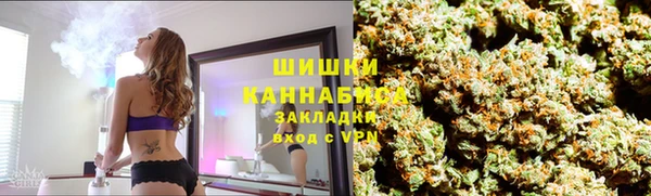 амф Мегион