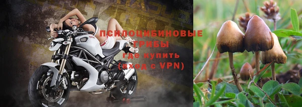 apvp Михайловка