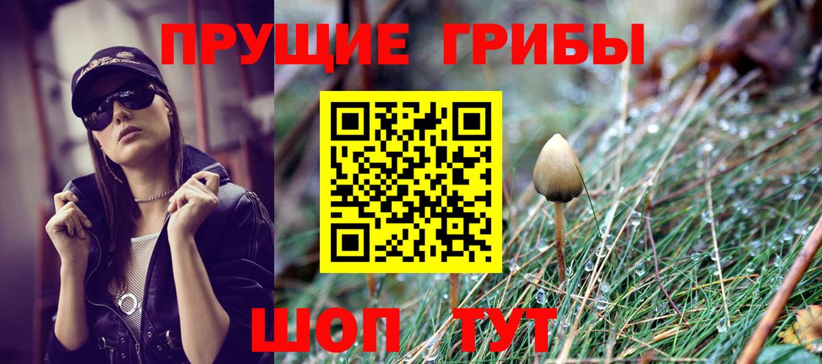 Урай  Псилоцибиновые грибы мицелий  Вход с VPN  Галлюциногенные грибы прущие грибы 